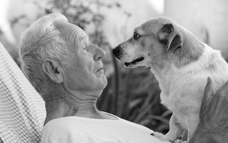 seniors and pets