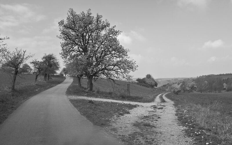 forks in the road