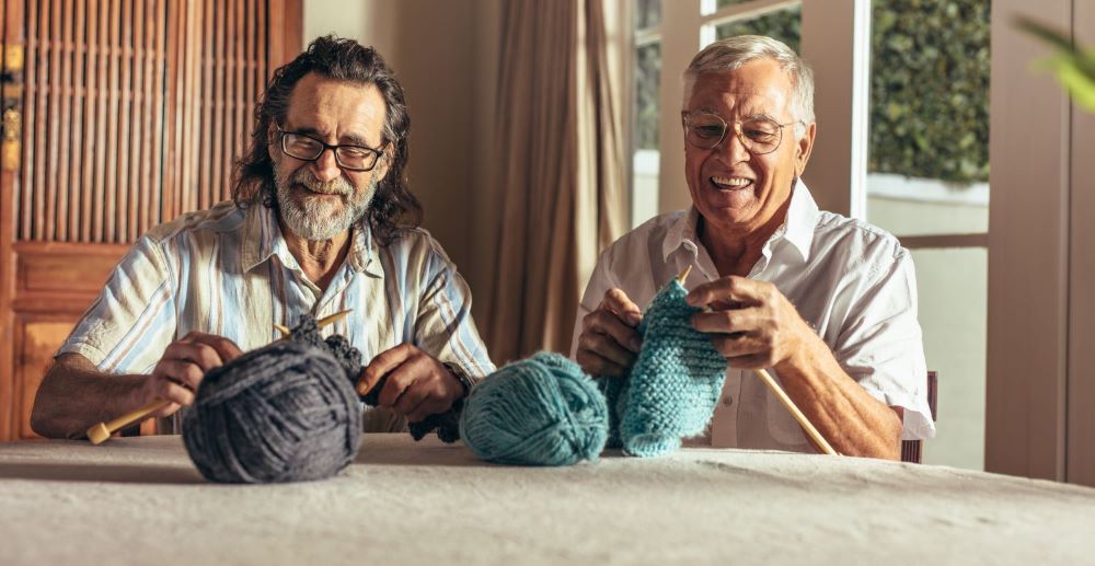 two old retired codgers knitting