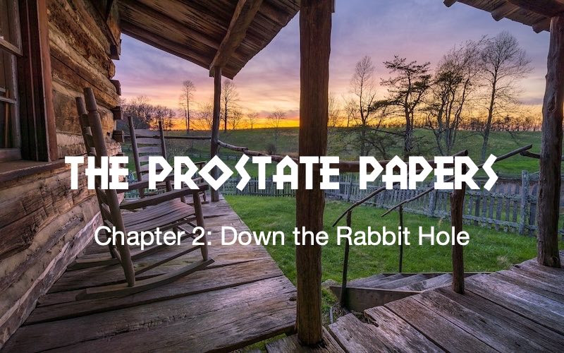 prostate papers-down the rabbit hole
