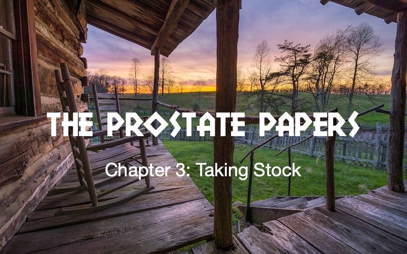 the prostate papers-taking stock